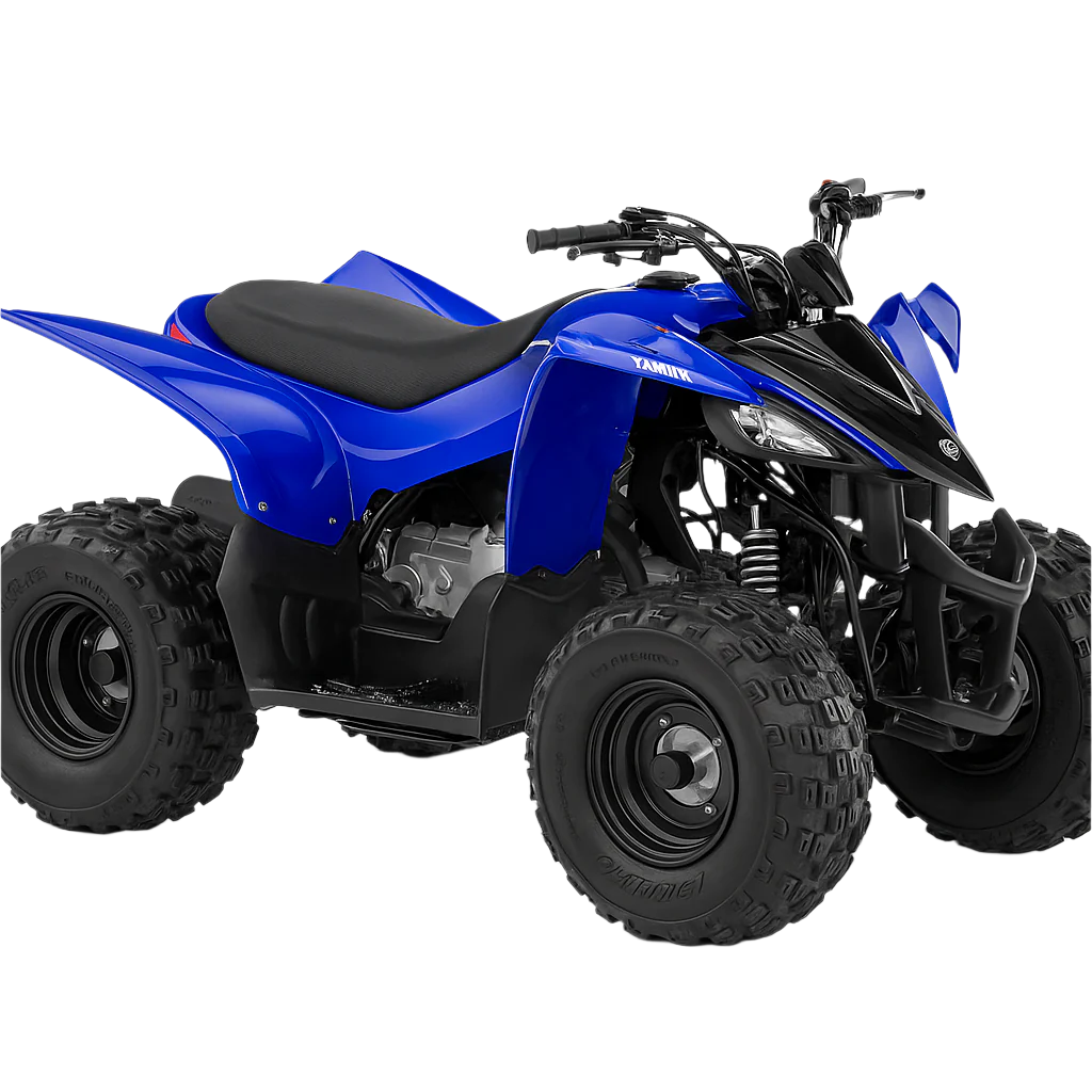 2025 YFZ50