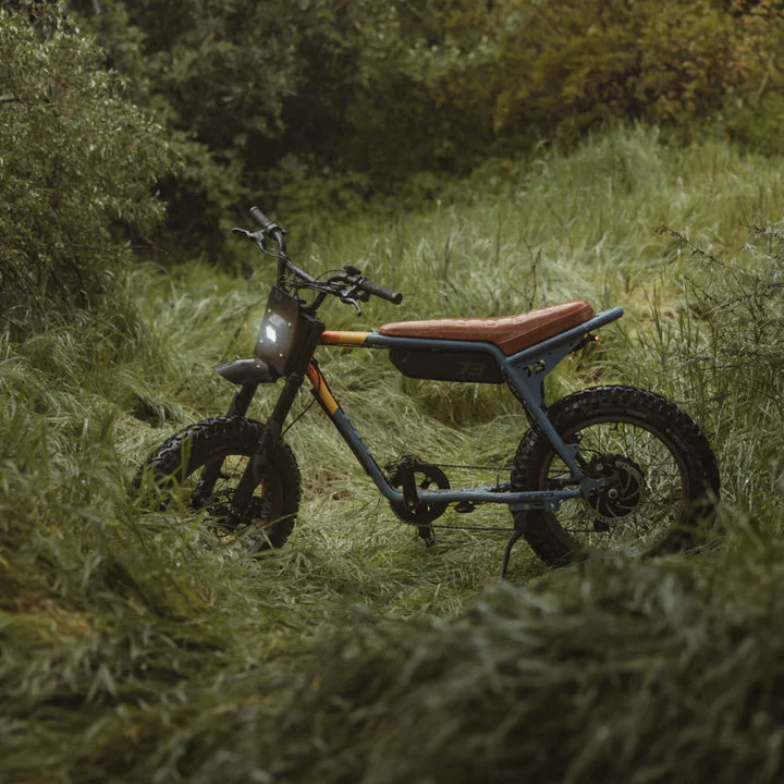 Super73-Z Adventure Fat Tyre Electric Bike 250W