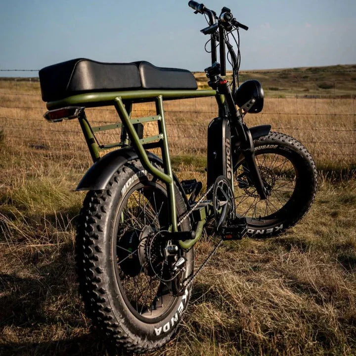 Synch Longtail Monkey 2 Seater Electric Bike 250W