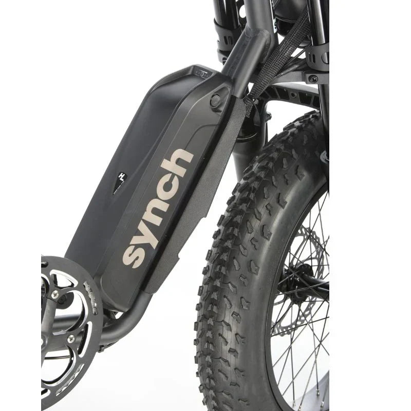 Synch Longtail Monkey 2 Seater Electric Bike 250W